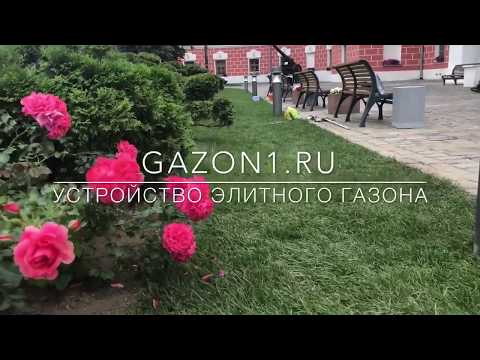 Устройство элитного рулонного газона