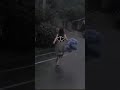 قالولي مش هتنجح ونجحت تصميم فيديوهات قصيرة اغاني اكسبلور فولو لايك قالولي مش هتنجح ونجحت تصميم فيديوهات قصيرة اغاني اكسبلور فولو لايك