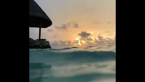 وَأَيُّوبَ إِذْ نَادَىٰ رَبَّهُ أَنِّي مَسَّنِيَ الضُّرُّ | القارئ الرائع الشيخ ناصر القطامي