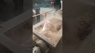 Bulky Waste Shredder
