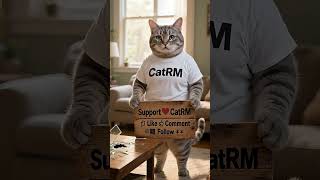 How CatRM Became a Hero_ The Shocking Beginning!  #funny #cat #viralvideo #ai #comedy