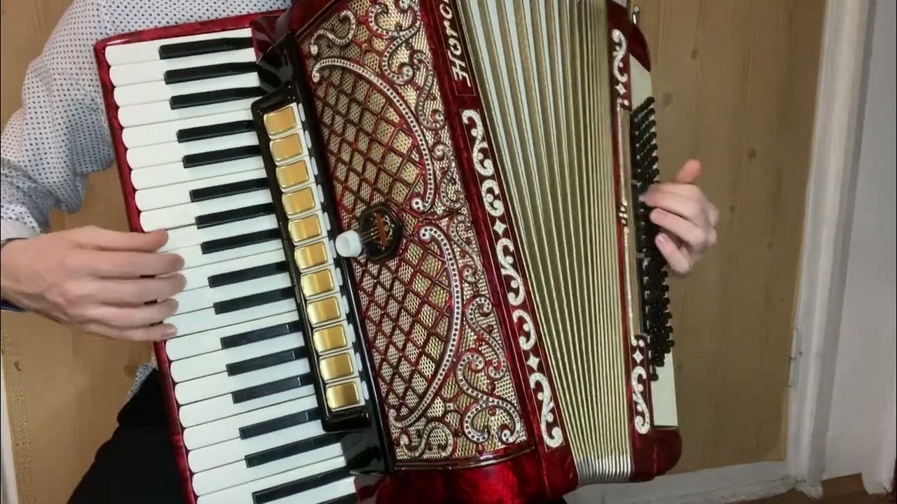 ЯРКИЙ Аккордеон 🪗 ХОРХ (hooch) аналог Weltmeister ПРОДАЖА (купить ...