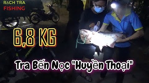 CÂU CÁ TRA SÔNG BẾN NỌC  SÀI GÒN