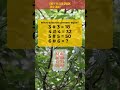 CogniSpark Quiz Q_20260228 #quiz #brainpulse #brainchallenge #mathpuzzle #두뇌훈련 #수학퀴즈