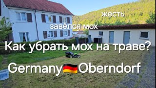 Germany 🇩🇪 Oberndorf am Neckar. как убрать Мох на Траве?