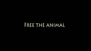 Sia - Free The Animal BGV LQ