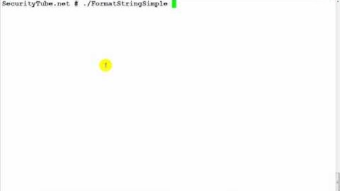 Format-String-Vulnerabilities-Primer-(Part-2-Crashing-the-Program)