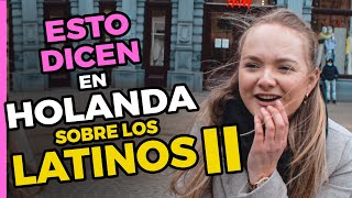 Que Piensan Los Holandeses De Los Latinos 