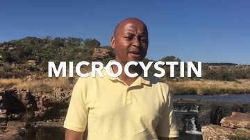 Microcystin