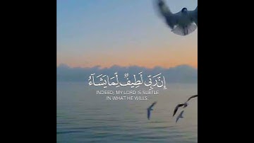 آيات تريح القلب والنفس 🌹 الشيخ ياسر الدوسري حالات واتس اب دينية قصيرة مؤثرة قرآن كريم تلاوة خاشعة