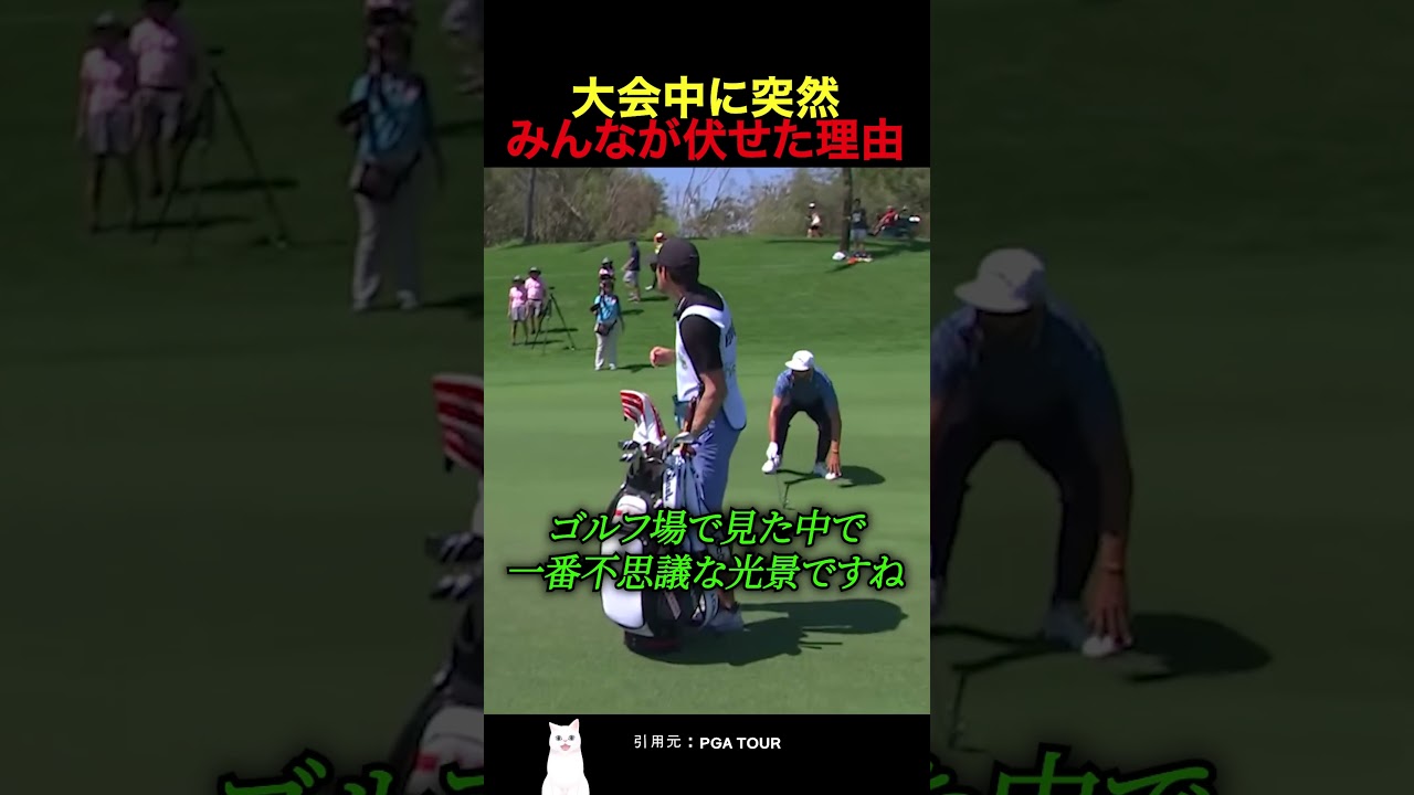 大会中に突然みんなが伏せた理由