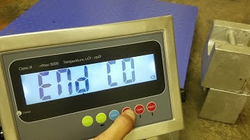 SellEton PS-IN202 Stainless Steel LCD indicator Calibration video