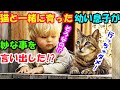 猫と一緒に育った幼い息子が妙な事を言いだした!?ただの猫ではないことがわかり衝撃!【猫の不思議な話】【朗読】