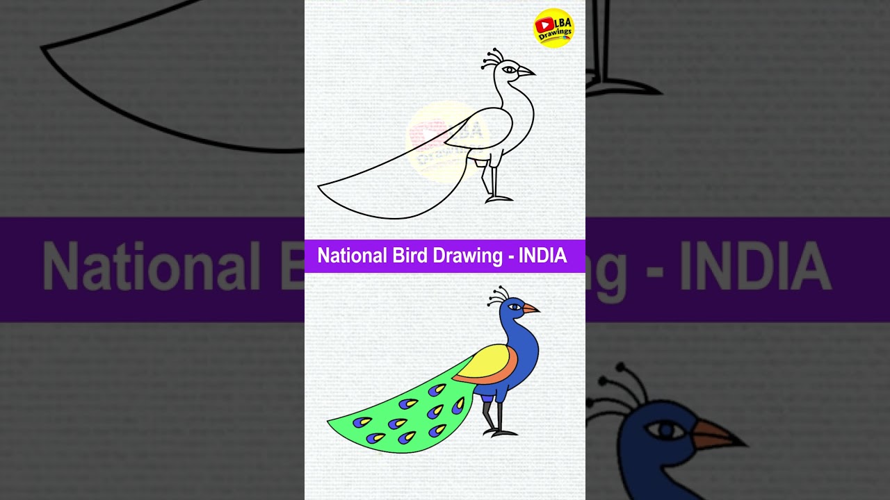 🦚🦚Peacock - National Bird of India🇮🇳... - Learn Art Academy | Facebook