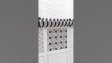 🧺Easy to make Basket Weave Pattern Art || #artforbeginners #zentangleart #shortsart #shorts