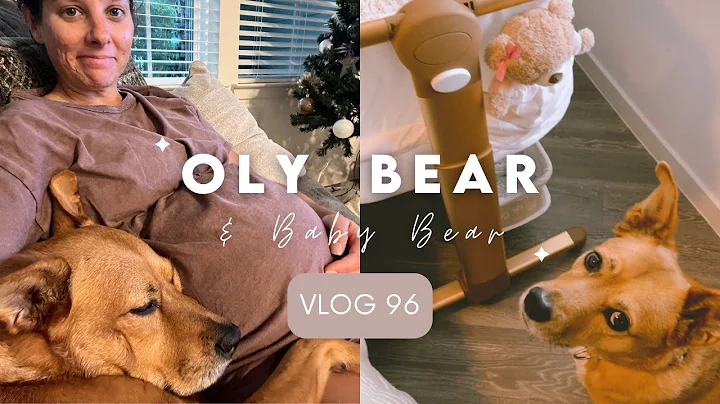 Oly Bear & Baby Bear | Meet the Griffins Vlog 96