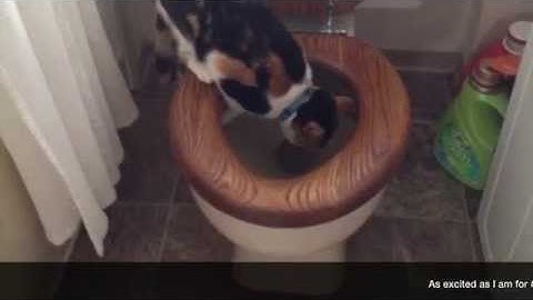 #GIA14 - A Recap of the 2014 AAMC NPDC for Institutional Advancement