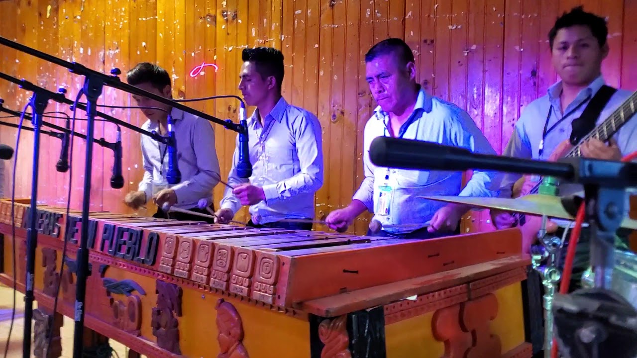 En vivo Marimba Maderas De Mi Pueblo Mi Querida Amanda YouTube