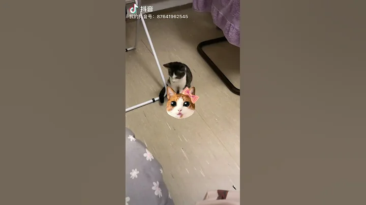 He can understand me!