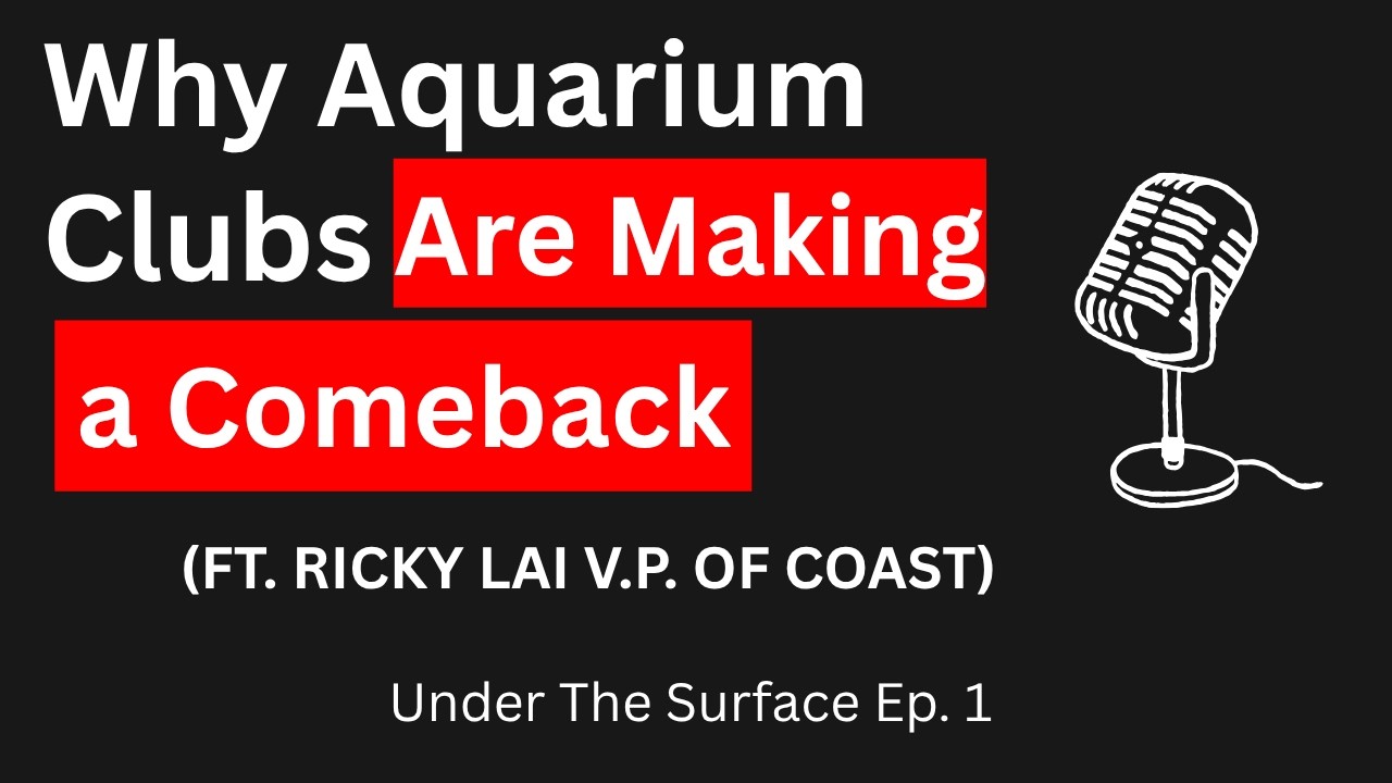 Revival of the Southern California Aquarium Community  (UTS Ep.1)