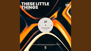 These Little Things (Extended Mix)