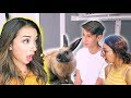 HOUSE RABBIT MAKEOVER | EPISODE 2