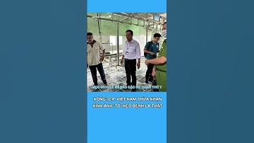 C.P. Việt Nam thừa nhận hình ảnh heo bệnh bị 