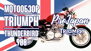 Обзор Triumph Thunderbird 900. Универсальный классик.