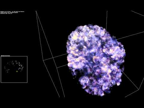 Simulation of Spiking