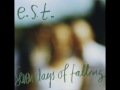 e.s.t. - O.D.R.I.P.