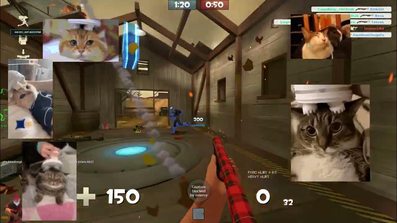 [LMAOBOX/TF2] on & on (tf2 cat edit) YouTube