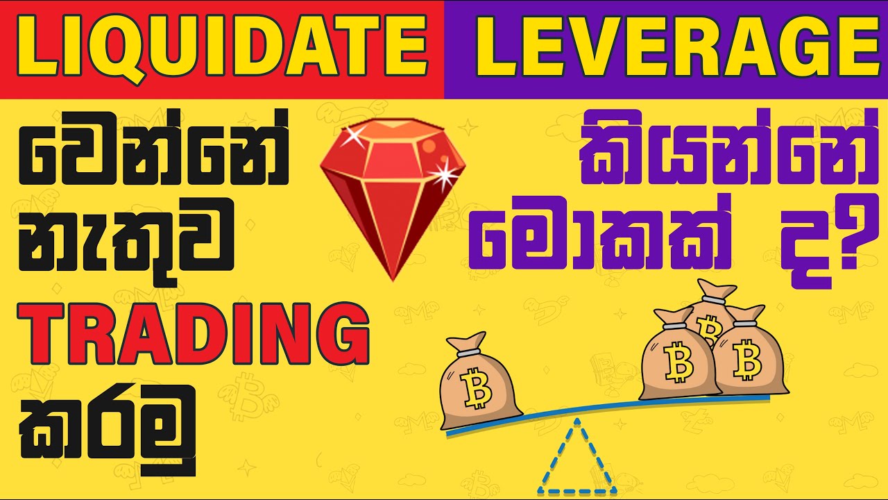 What is Leverage and How to Liquidate Price Basic Trading Terms