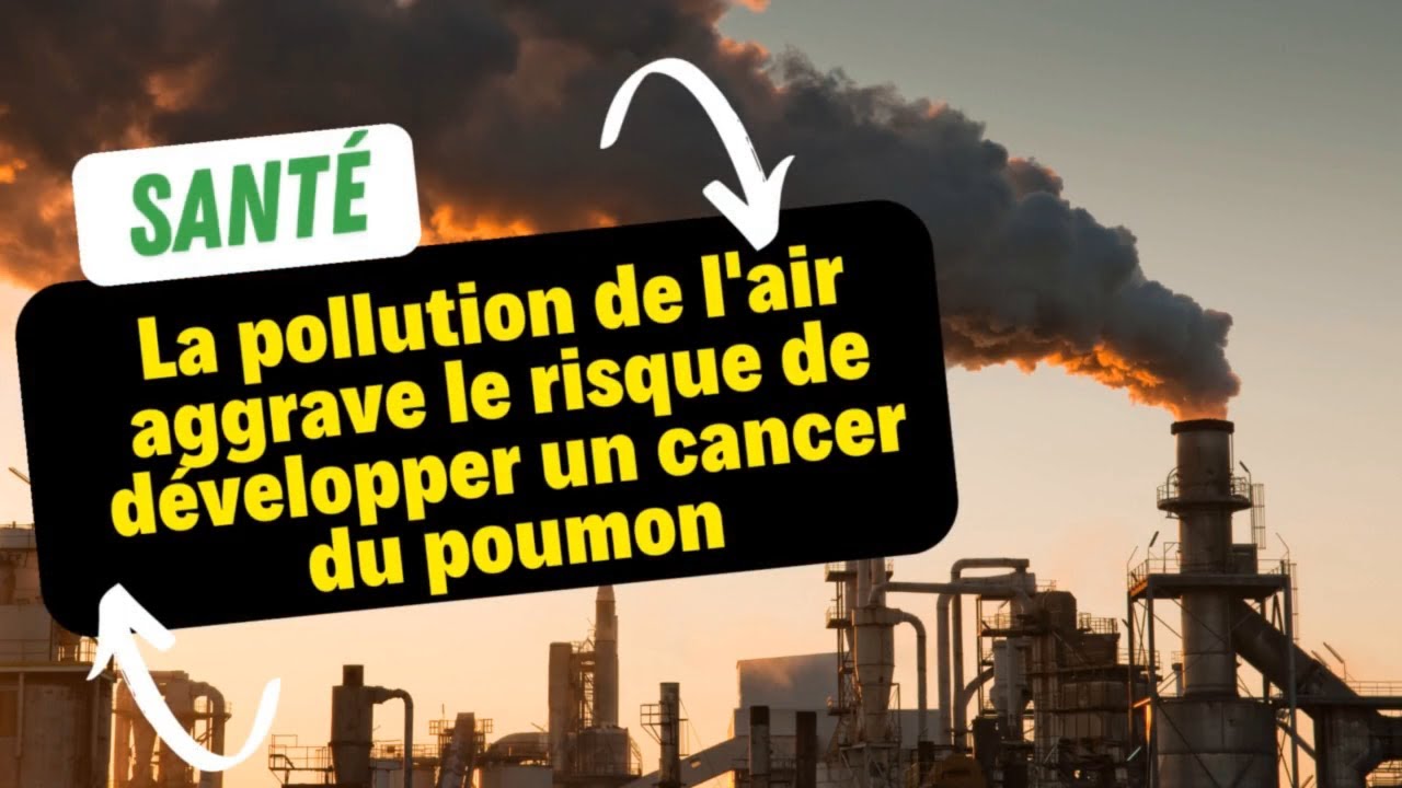 La pollution de l'air aggrave le risque de développer un cancer du ...