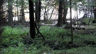 40lb tannerite takes out beaver dam