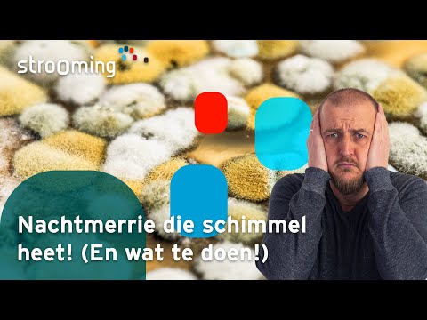 Video: Hoe leeft waterschimmel?