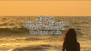 生命之光 Shēngmìng Zhī Guāng Cahaya Kehidupan The Light of Life