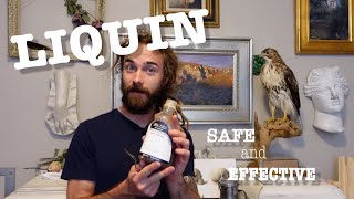 How To Use Liquin For Oil Painting! – Picky Pens