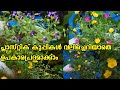 #plasticbottle BOTTLE GARDEN IDEAS | PLASTIC BOTTLES FOR GROWING PLANTS | MOSS ROSES PLANTING