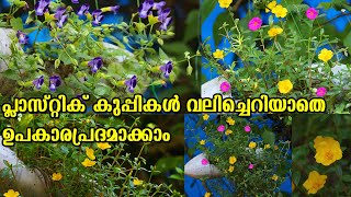 #plasticbottle BOTTLE GARDEN IDEAS | PLASTIC BOTTLES FOR GROWING PLANTS | MOSS ROSES PLANTING