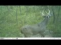 *BONUS* for DEER HUNTERS!