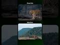 Stop shooting close ups! #aarzookhurana #learnwithaarzoo #wildlife #photography