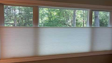 Automated Hunter Douglas Duette® Honeycomb Shades with PowerView® Motorization at Shades On Wheels