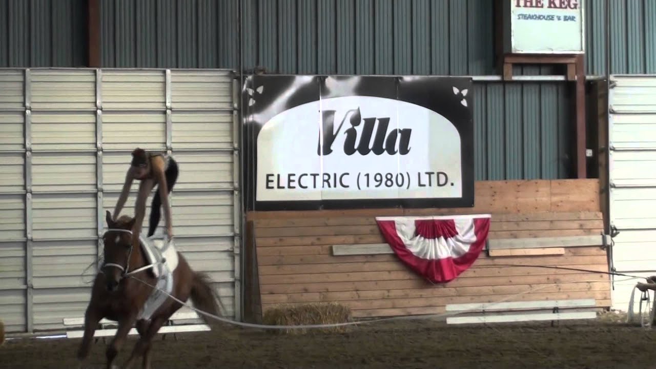 Freedom Acrobatics   Kaileigh O'Hanley   Freestyle Round 2   Vault Canada Individual Canter D Senior