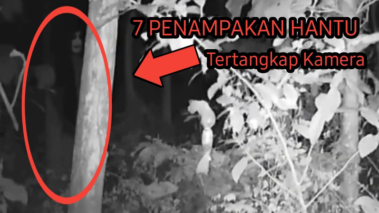 Penampakan Ini Terjadi di Baturraden — dan Itu Bukan Bayangan Biasa