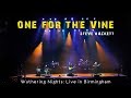Steve hackett  one for the vine wuthering night