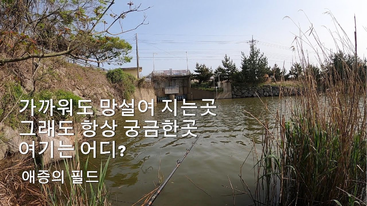 애증의 필드 배스 루어 낚시 bass fishing