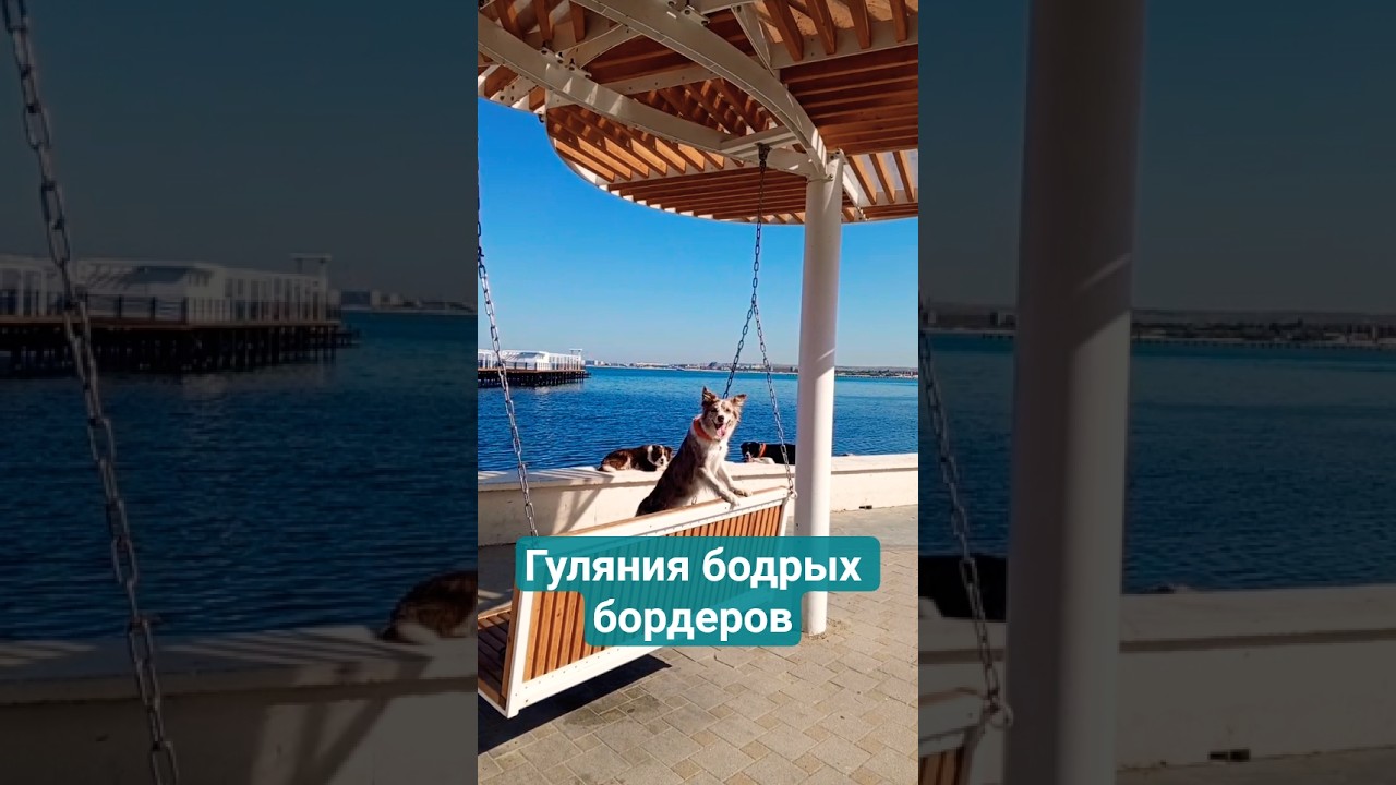 Ходилки-бродилки 🐾🏝️ 