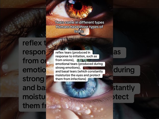Shocking facts p.7 #knowledge #supplements #facts #eyes #humanvision #vision