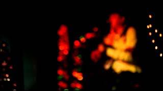 Shane(Ag sies jou vark) Come home for Christmas