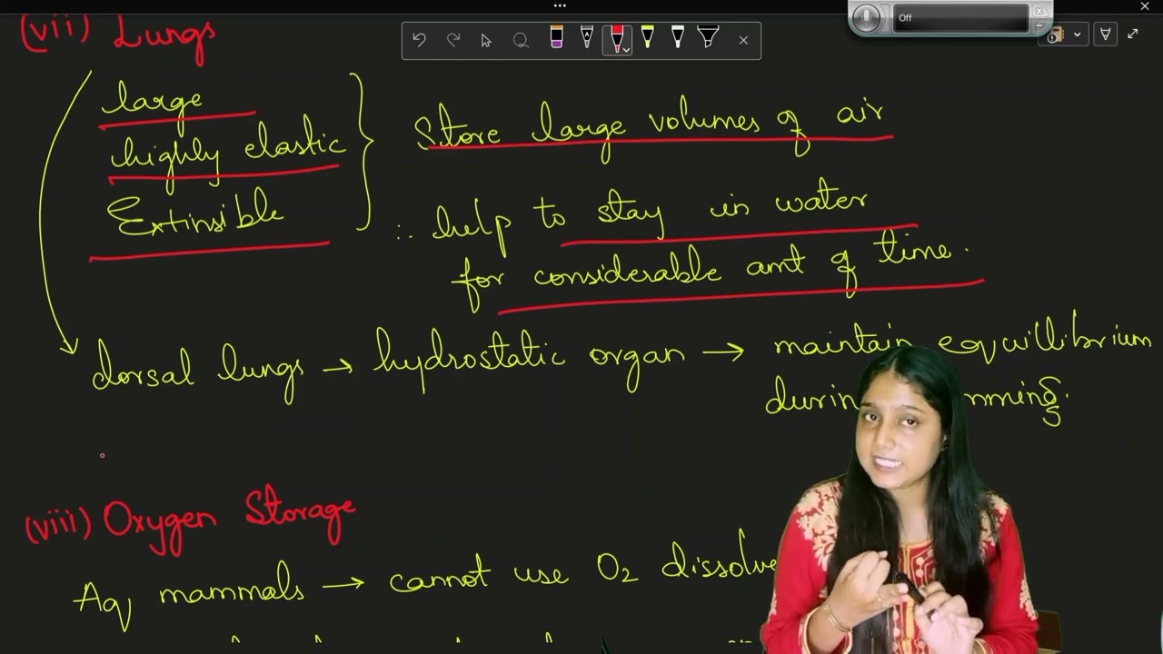 Aquatic adaptations in mammals | sem 2 | osmania university | Zoology | Humera